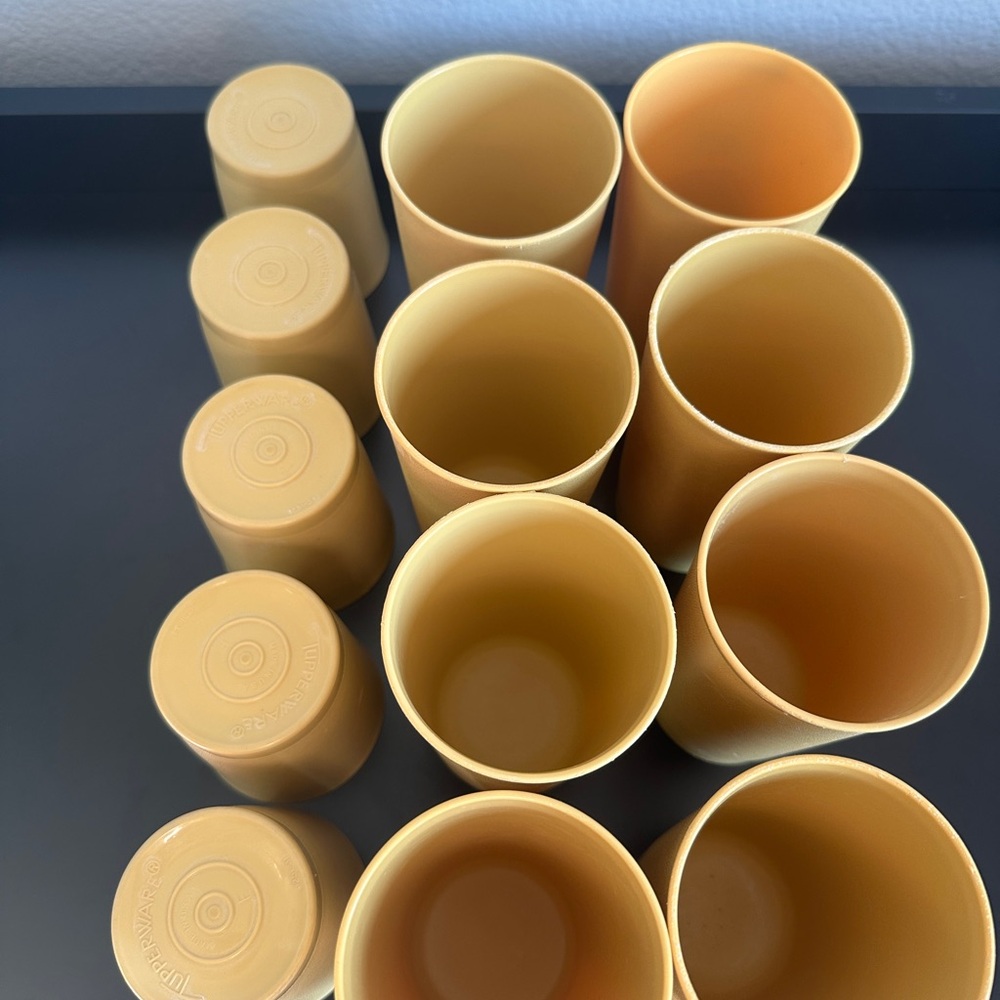 Tupperware Tan Drinkware Set